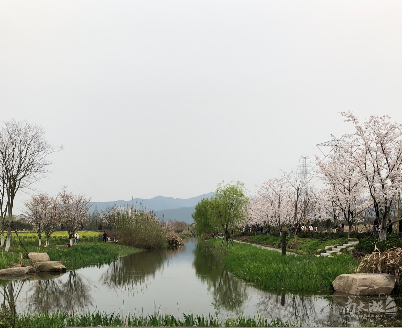 长田漾湿地公园风景优美| 太湖水吧|湖州论坛|南太湖