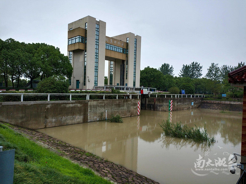 东苕溪沿线部分水闸关闸拦洪,保东部平原防汛安全